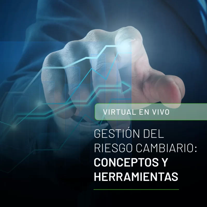 Gestión del Riesgo Cambiario: Conceptos y Herramientas