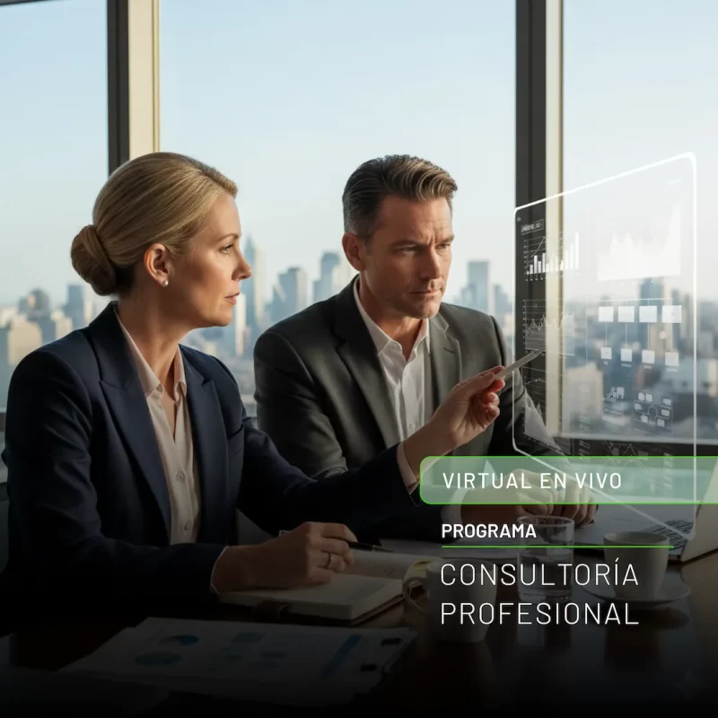 Consultoría Profesional
